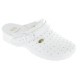 SCHOLL CLOG RACY BLANC